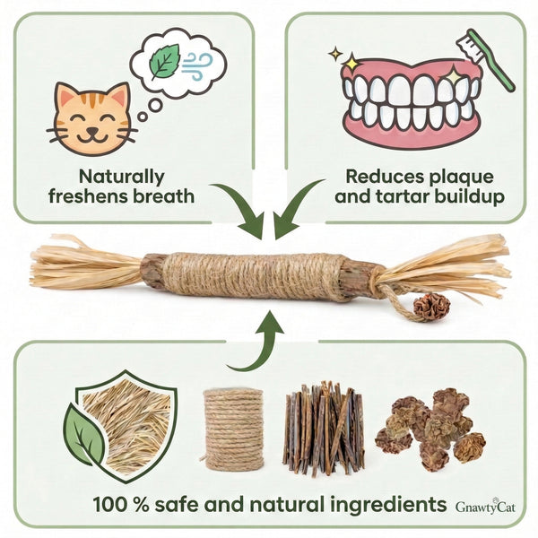 What Peer-Reviewed Science Actually Says About Silvervine and Cat Dental Health