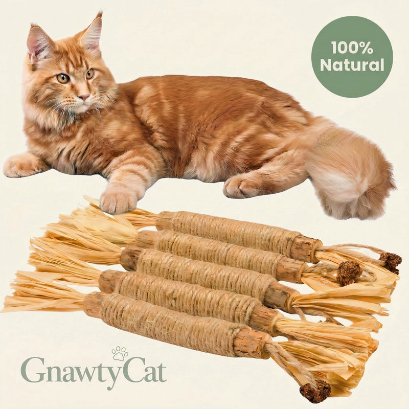 GnawtyCat Silvervine Chew Sticks