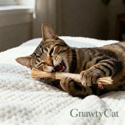 GnawtyCat in use