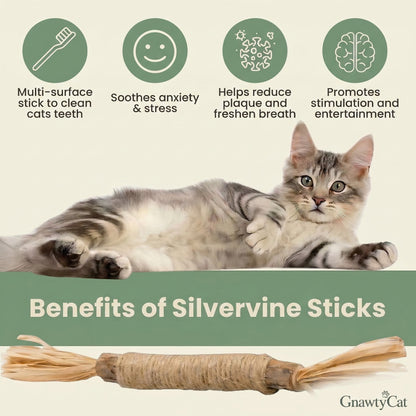 GnawtyCat™ Natural Silvervine Chew Sticks — Dental Health