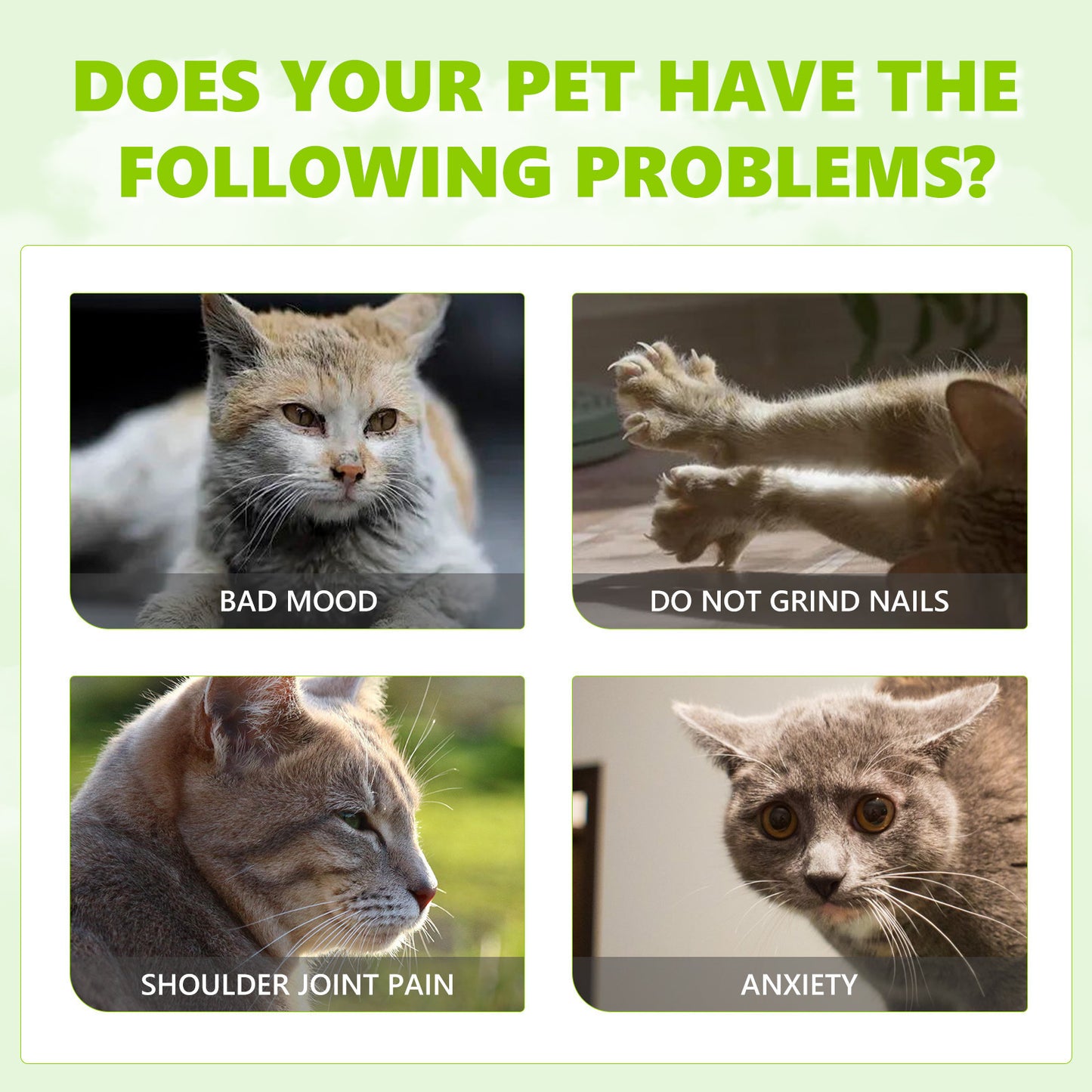 Yegbong Catnip Spray Relieves Cats' Anxiety and Enhances Pet Vitality Health Care Spray