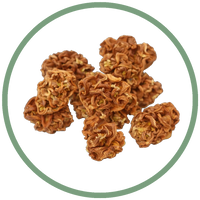 Gall Fruit