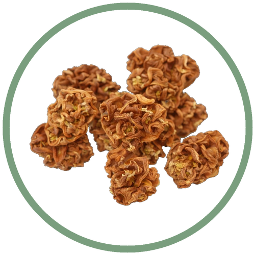 Gall Fruit